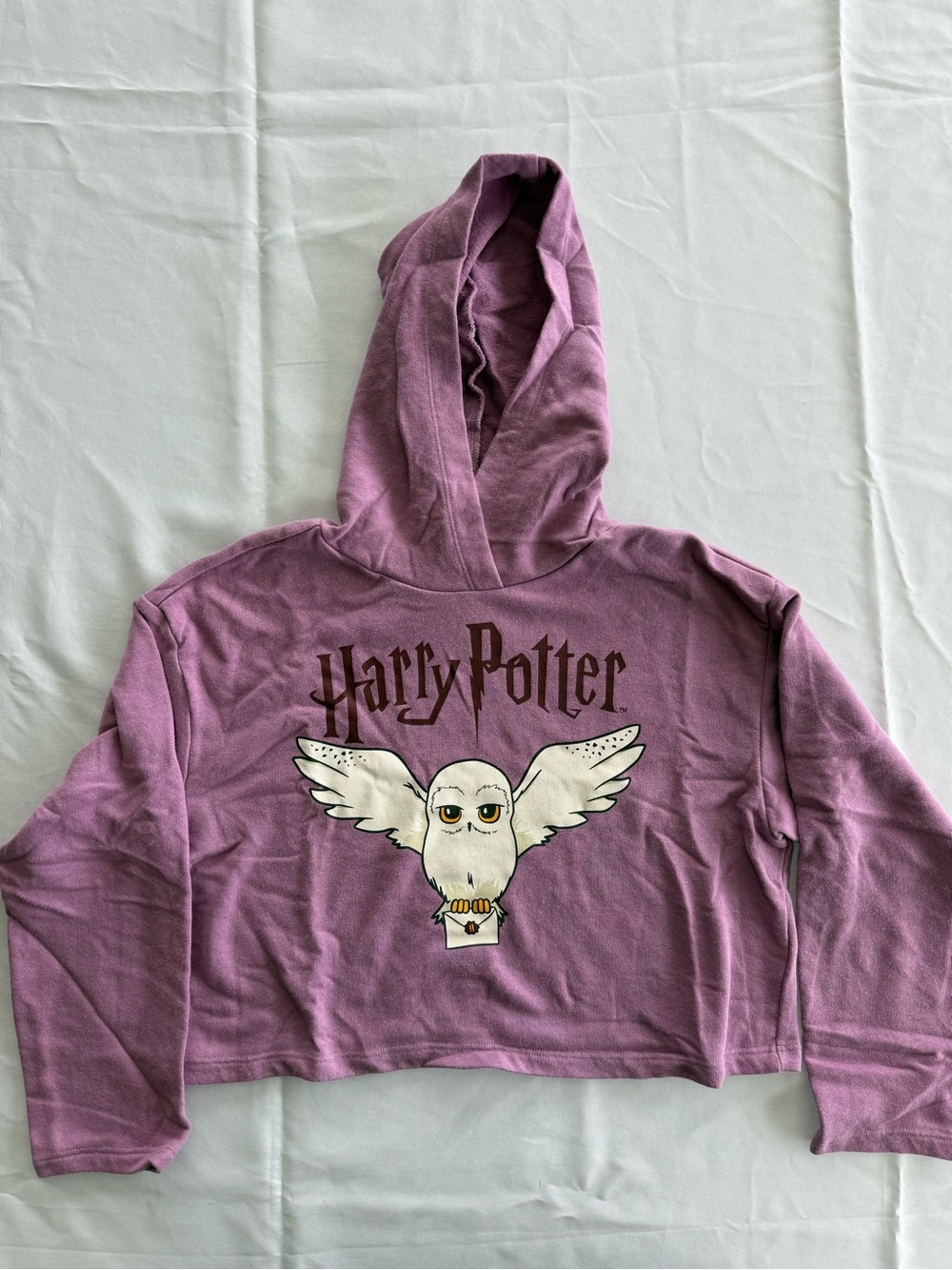 H&M Lavender Harry Potter Cropped Hoodie with Hedwig Graphic
